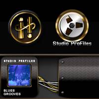 Drum Masters 2: Blues Multitrack Grooves<BR>Infinite Player library for Kontakt