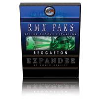 Reggaeton for Stylus RMX